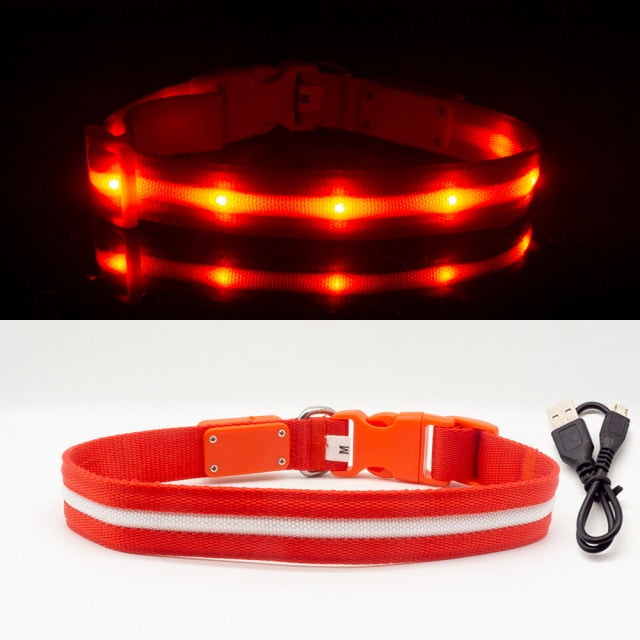 LED Glowing Night Light Dog Collar Illuminated USB Rechargeable Pet Safety Harness