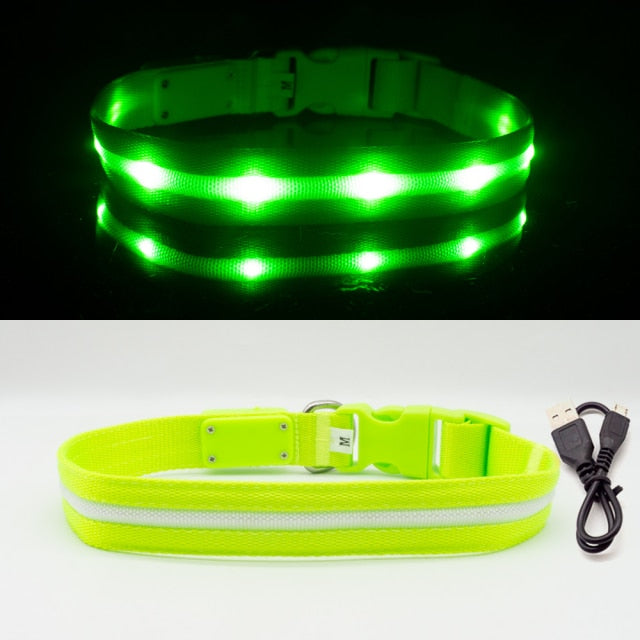 LED Glowing Night Light Dog Collar Illuminated USB Rechargeable Pet Safety Harness