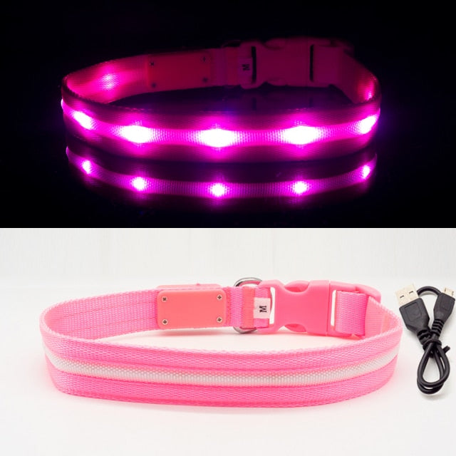 LED Glowing Night Light Dog Collar Illuminated USB Rechargeable Pet Safety Harness