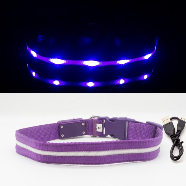 LED Glowing Night Light Dog Collar Illuminated USB Rechargeable Pet Safety Harness